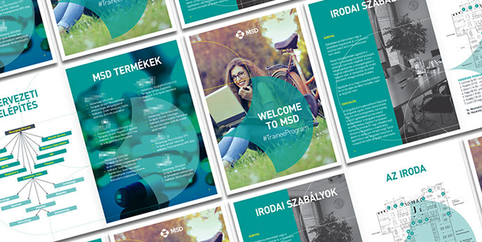 msd trainee program brochure