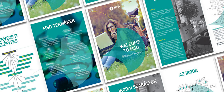 msd gyakornoki program brossúra