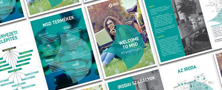 msd gyakornoki program brossúra
