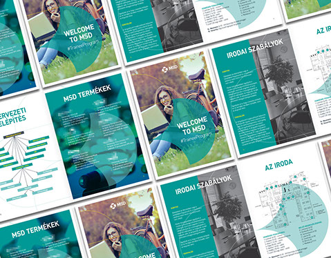 msd trainee program brochure