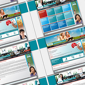 msd termék weboldal tervezés és fejlesztés