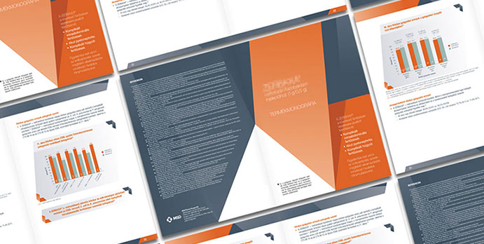 msd termék brossúra