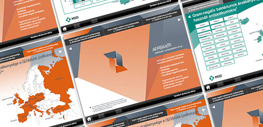 msd termék promóciós, oktató ipad anyag